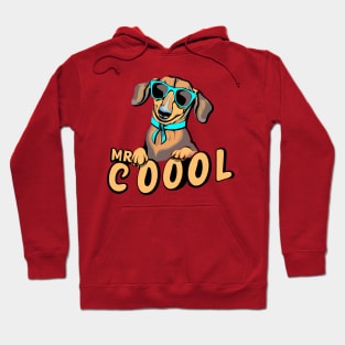 Cool dachshund dog design Hoodie